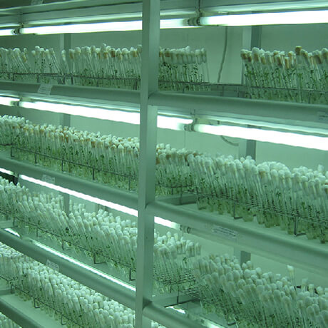 precision laboratory furniture Industries customized tissue culture rack